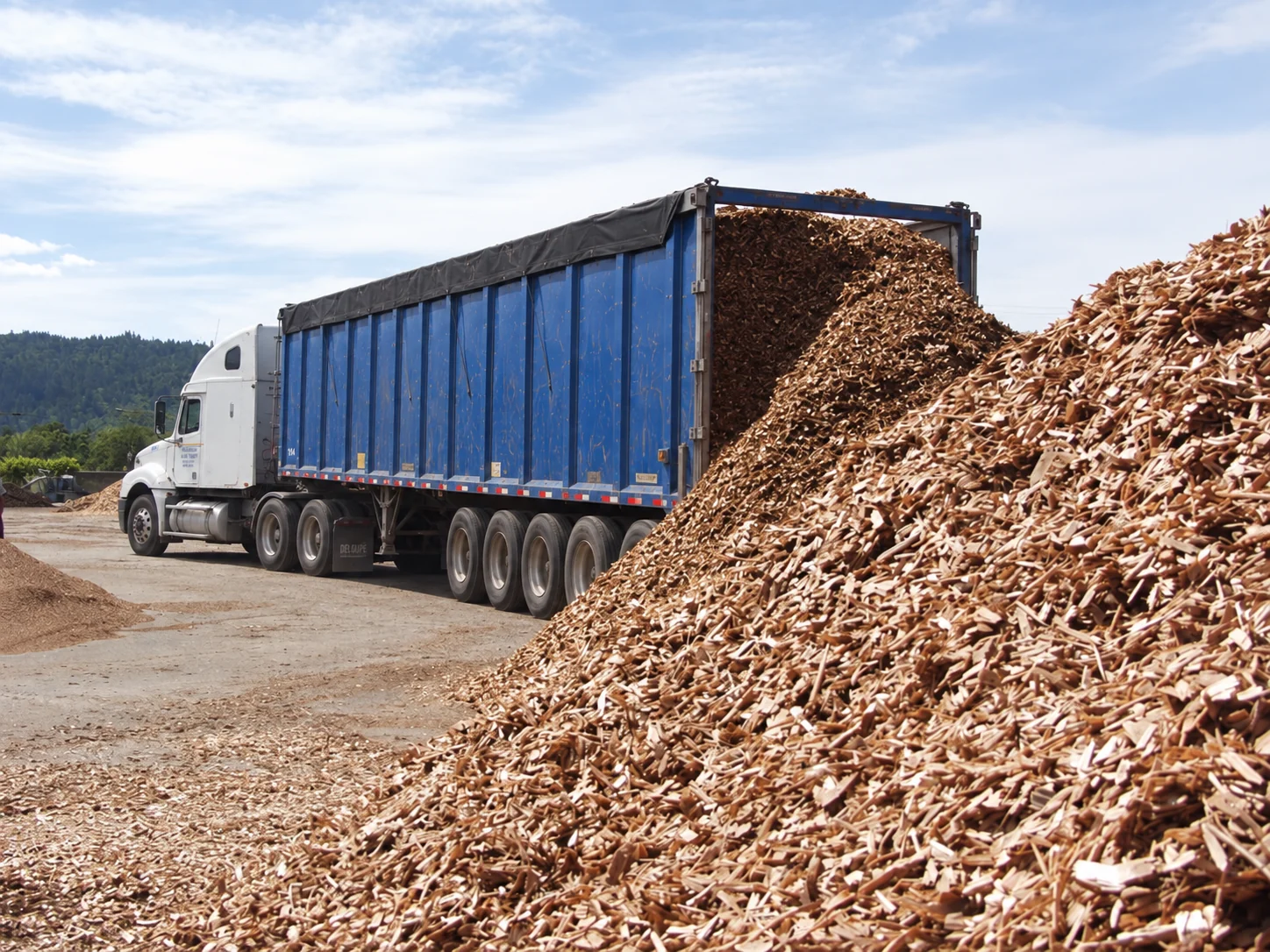 Kamal Transport blue trailer unloading wood material from the rear